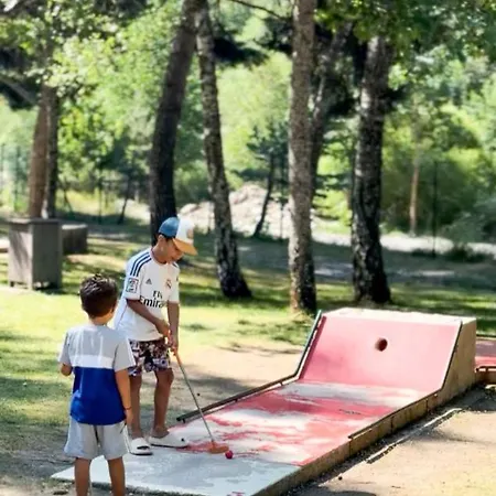 Seignus D Pieds Des Pistes *