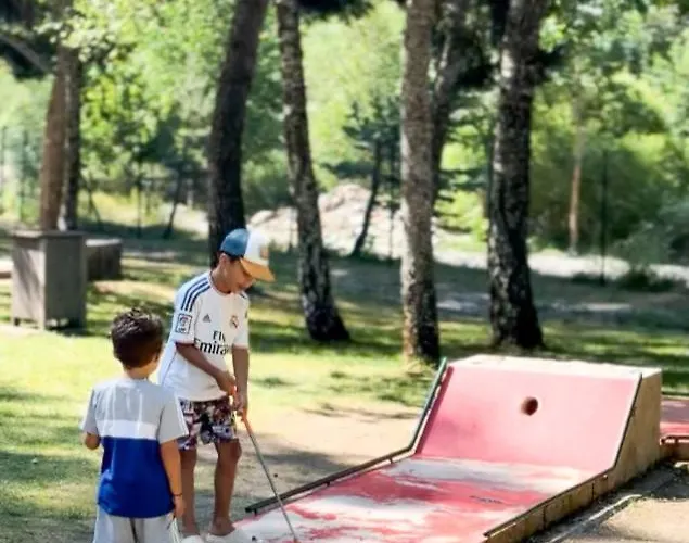 Seignus D Pieds Des Pistes *